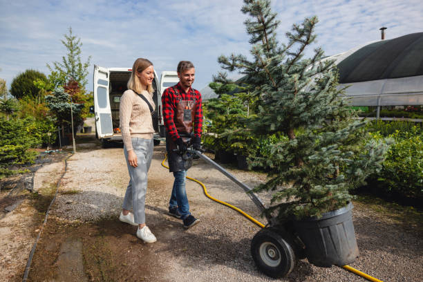 Professional Tree Services in Columbus, TX